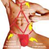 cueca body especial sexy ousada fashion 6