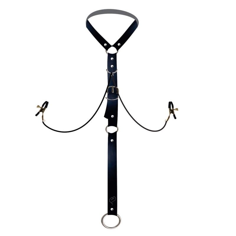 harness clips pinca no mamilos e argola escrotal bdsm 2