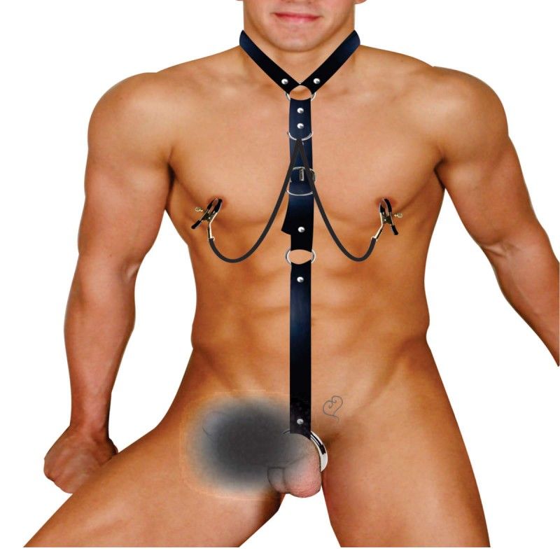 harness clips pinca no mamilos e argola escrotal bdsm